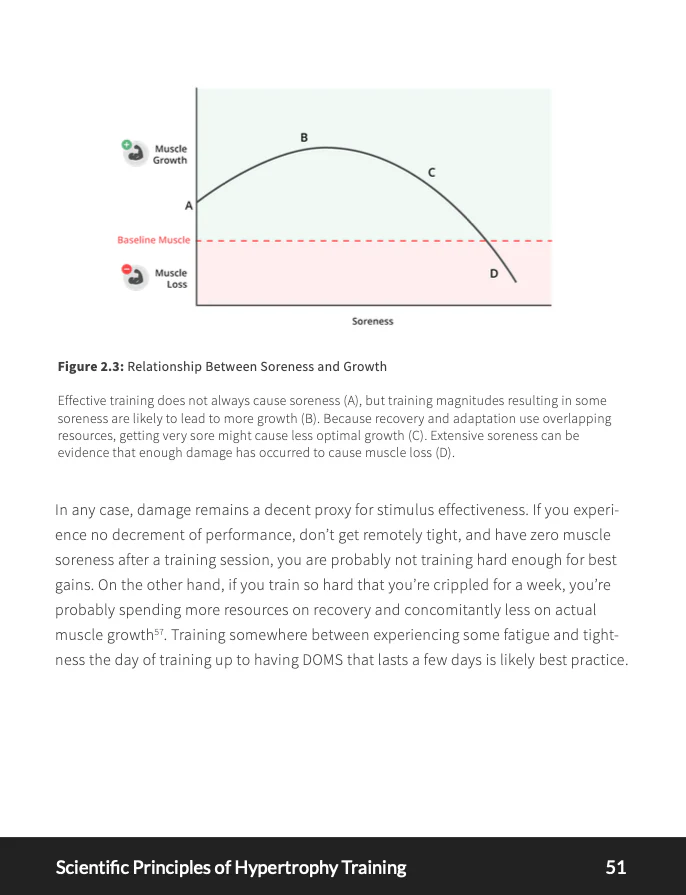 Scientific Principles of Hypertrophy Training eBook - Image 3